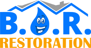 BOR-Restoration-Logo