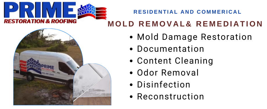 residential and commercial mold removal - Prime Restoration