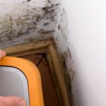 Mold Remediation, Mold Removal services in St. Johns, FL