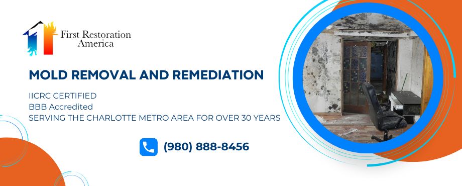 mold remediation stallings nc