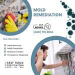 Mold Remediation Tempe AZ