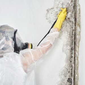 mold remediation in tempe az