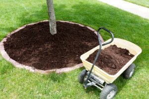 Tree-Planting-Services-Niles-IL