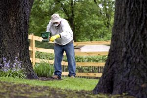 Tree-Treatment-Services-Skokie-IL