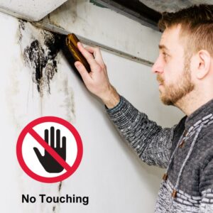 Mold Damage Do's and Dont's