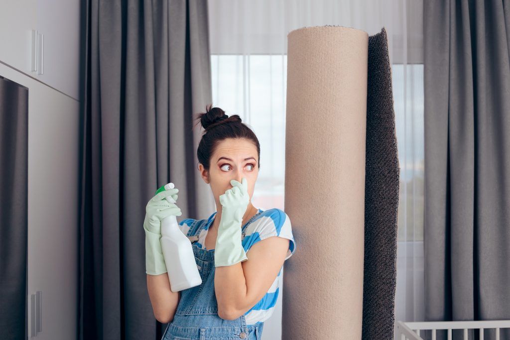 Bad smell in the house odor removal