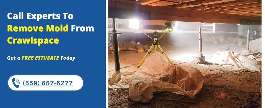 crawlspace mold remediation