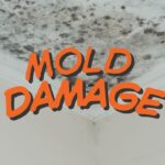 mold damage-911 Restoration Ventura County