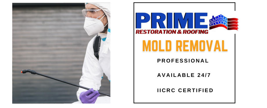 Mold Removal - Prime Restoration