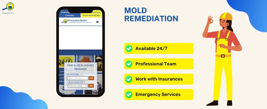 mold remediation - RestorationMaser