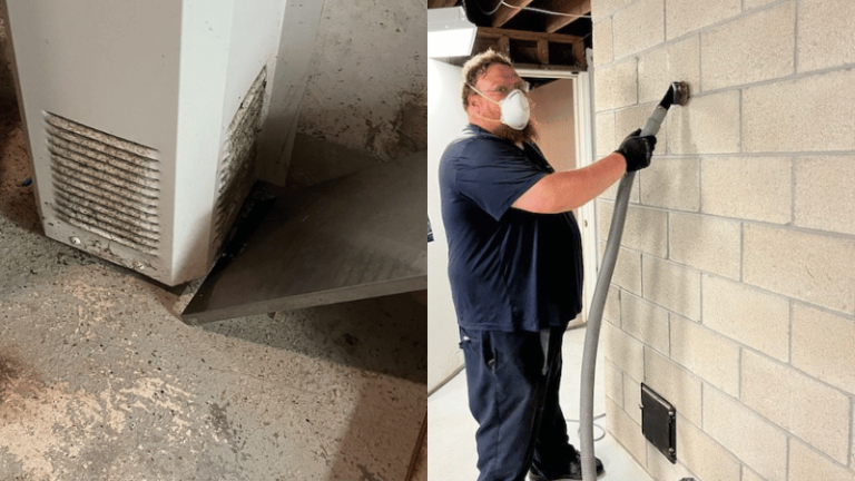 Mold Testing and Removal in Waterford, CT - Water Damage Drying Services Mold Testing and Removal in Waterford, CT - Water Damage Drying Services