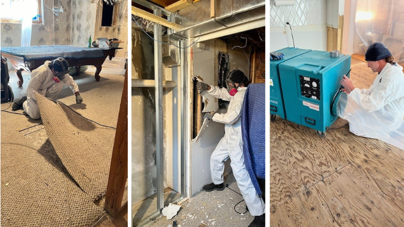 Mold Remediation in Waterford, CT - Water Damage Drying Services Mold Remediation in Waterford, CT - Water Damage Drying Services