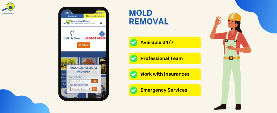 RestorationMaster Mold Removal