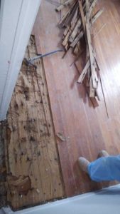 Water-Damage-Wood-Floors-Westerly-RI-Home