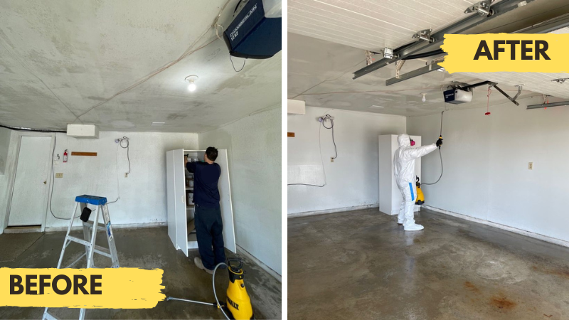 Mold remediation in Westerly RI