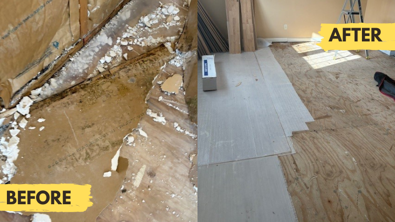 Mold Remediation Services in Westerly, RI - Water Damage Drying Services