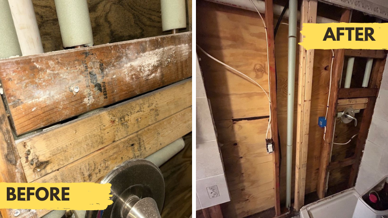 Water Damage and Mold removal Hope Valley RI