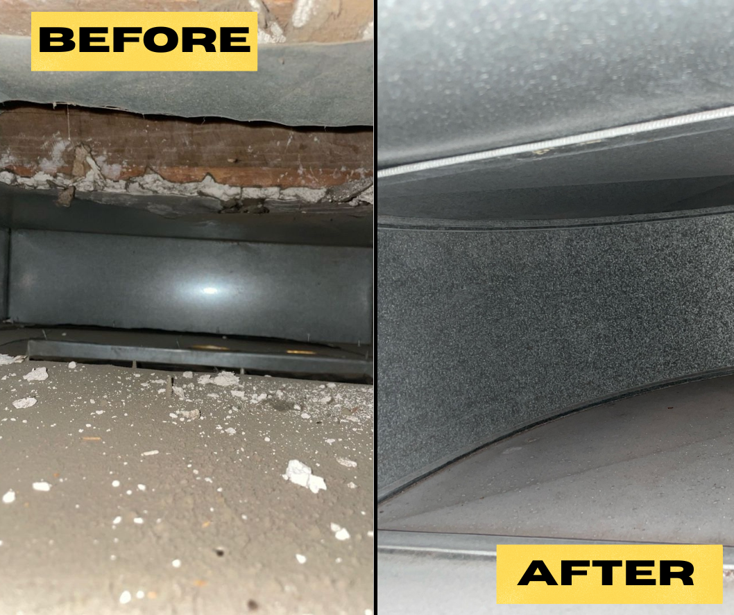 HVAC Westerly Animal Before After