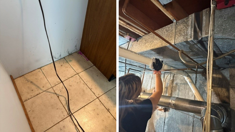 Puffback Cleaning in Westerly RI - Water Damage Drying Services