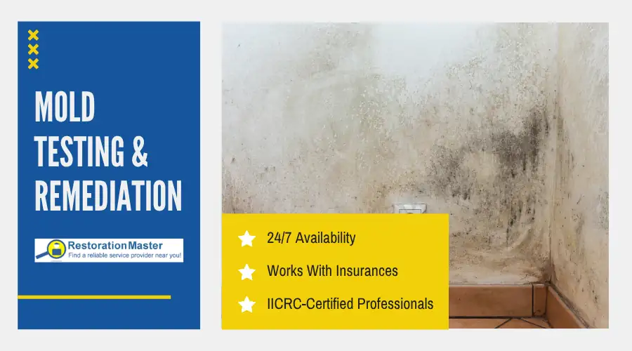 Mold on a wall with Restoration Master mold testing and remediation services, available 24/7 in Westerly, RI