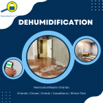 Flood Dehumidification and Drying Services in Winter Park FL