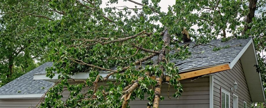 storm-damage-restoration-Woodbridge, VA