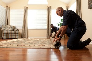 Commercial Carpet Cleaning Services for South Bend, IN