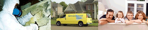 Mold & Mildew Removal Lake Zurich IL