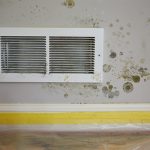 ServiceMaster-Mold-Remediation-for-Northbrook-IL