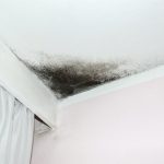 Mold Remediation in League CIty, TX