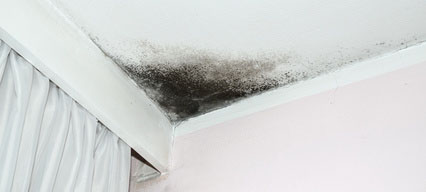 Mold Remediation in League City, TX