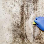 Mold Remediation Services in Owasso, OK