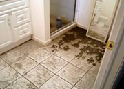 Mold Removal Services in Boulder City and Mesquite, NV