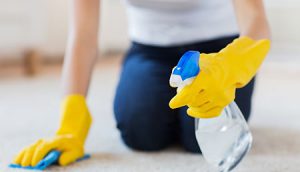 Gross-Filth-Cleaning-Services-in-Olympia-WA