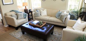 Commercial Upholstery Cleaning in Warren and Bridgewater Townships, NJ