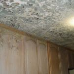Mold Remediation – Waterford, CT