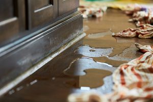 Preventing Future Water and Fire Damage