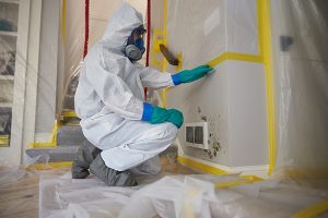 Mold Inspection And Testing Near Me
