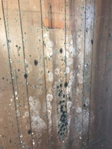 Mold-Damage-Westerly-RI