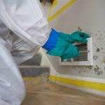 Mold Removal & Remediation in Ocean City and Egg Harbor Township, NJ by ServiceMaster of the Shore Area