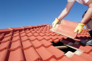 Roof Repair Services in Crystal Lake, IL