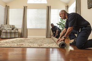 Examination of the Carpet