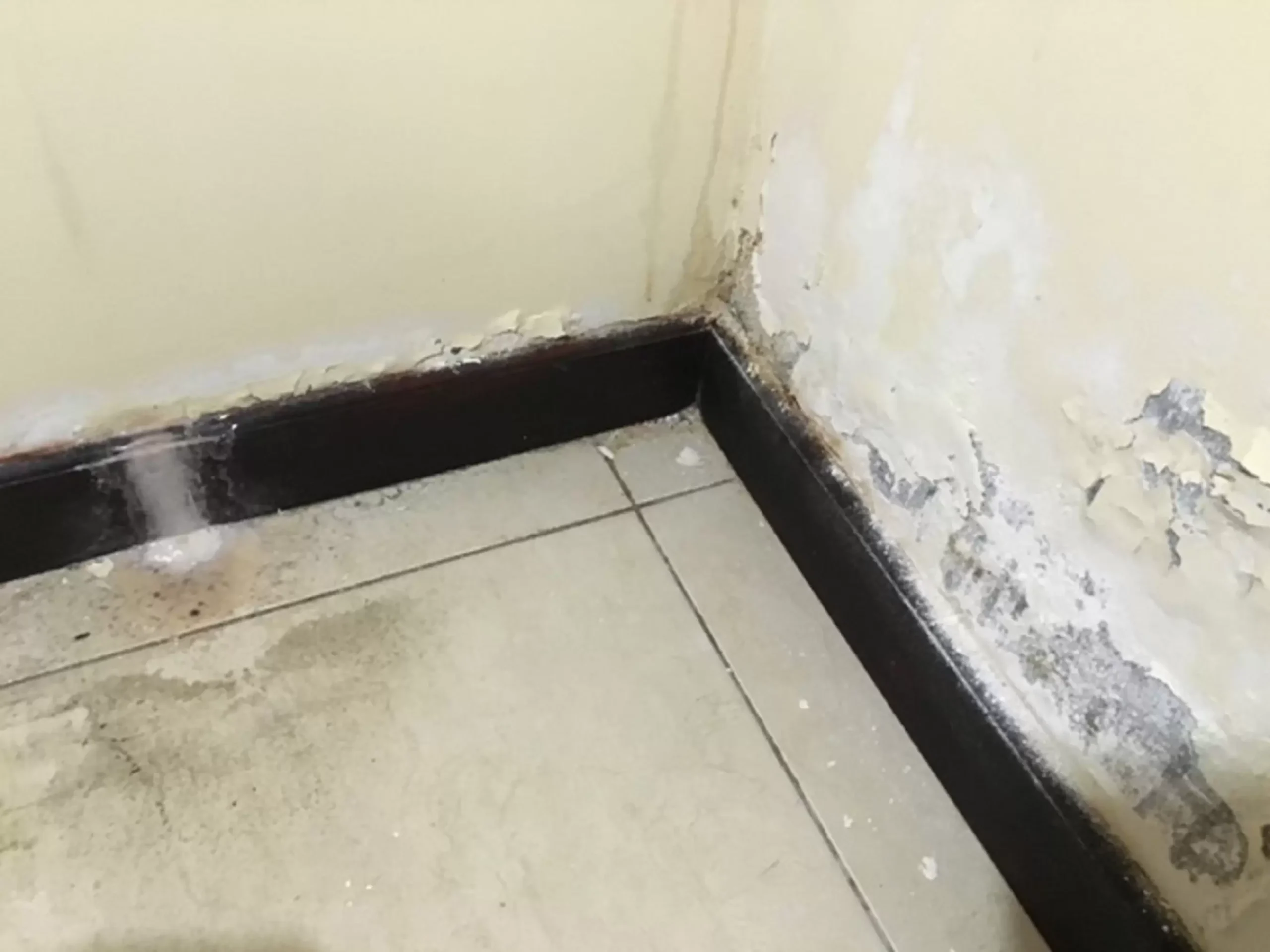 Water Leak Behind the Walls