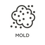 Mold Remediation Icon